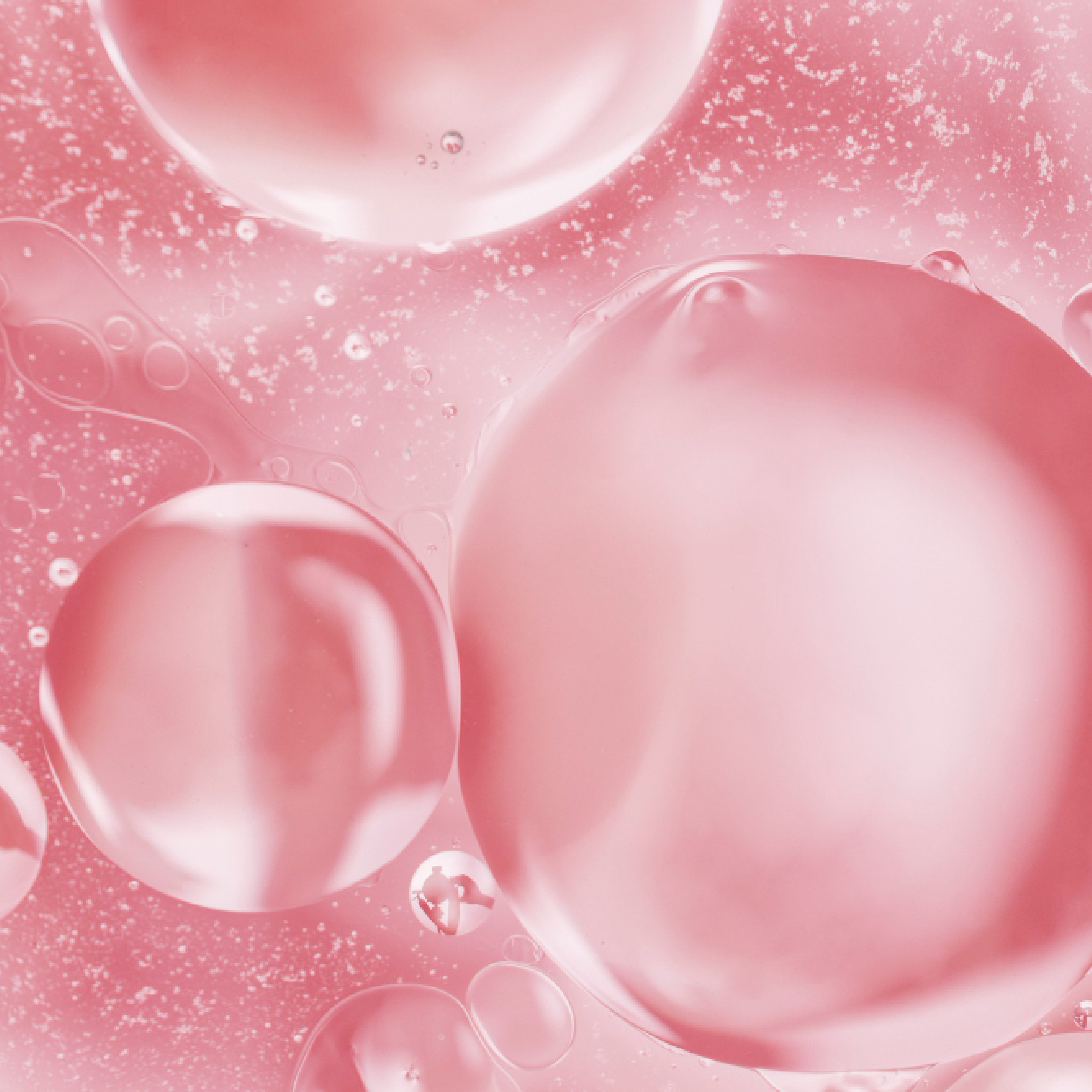 벨로아 의원 2월 Spring Event