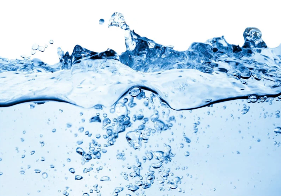 벨로아 의원 11월 이벤트